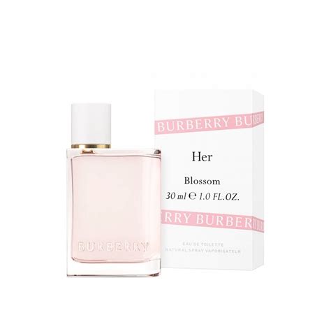 buy burberry blossom